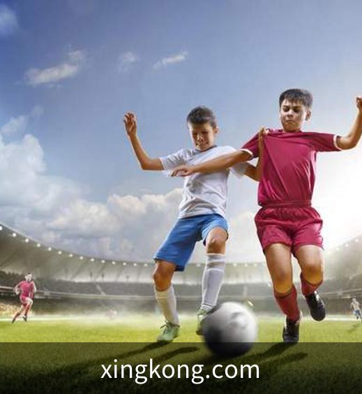 关于xingkong.com